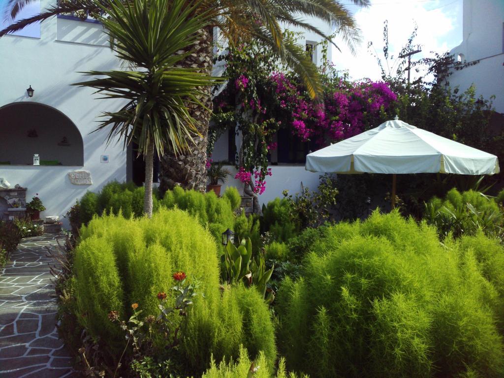 Pension Sofia Guest house 3*