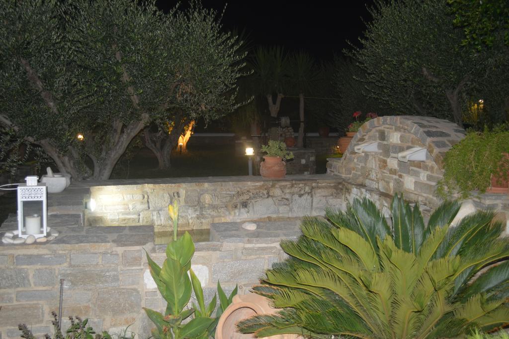 Guest house Pension Sofia 3*