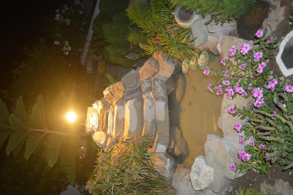 Guest house Pension Sofia